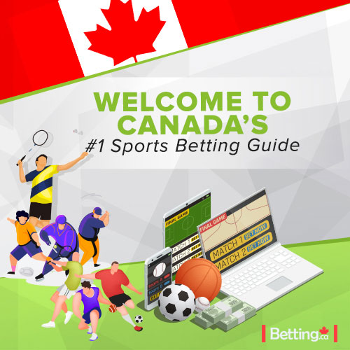 new sports bet sites